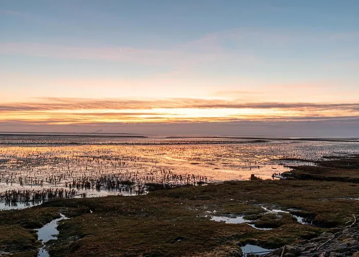 Butzel By Interhome * Norddeich (Norden)